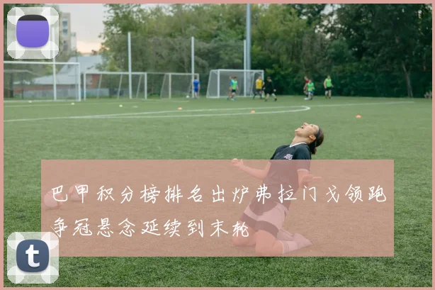 巴甲积分榜排名出炉弗拉门戈领跑争冠悬念延续到末轮