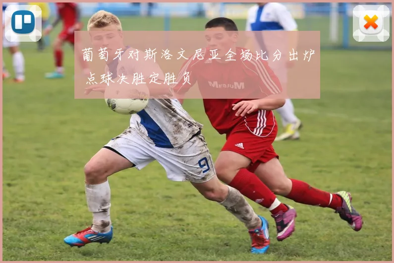 葡萄牙对斯洛文尼亚全场比分出炉 点球决胜定胜负