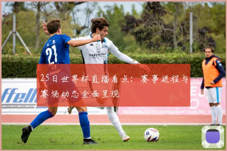 25日世界杯直播看点:赛事进程与赛场动态全面呈现